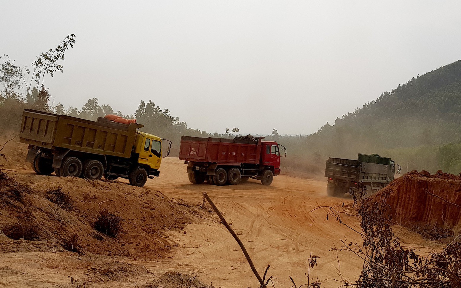Bình Định: doanh nghiệp đào đất trồng rừng san lấp công trình