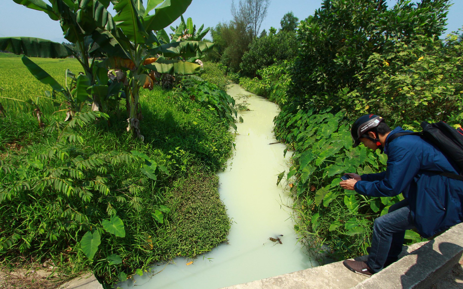 Nước kênh ở Cà Mau bất ngờ chuyển sang màu đỏ- Ảnh 2. Kênh đổi màu trắng như sữa, nghi nước xả thải từ khu công nghiệp