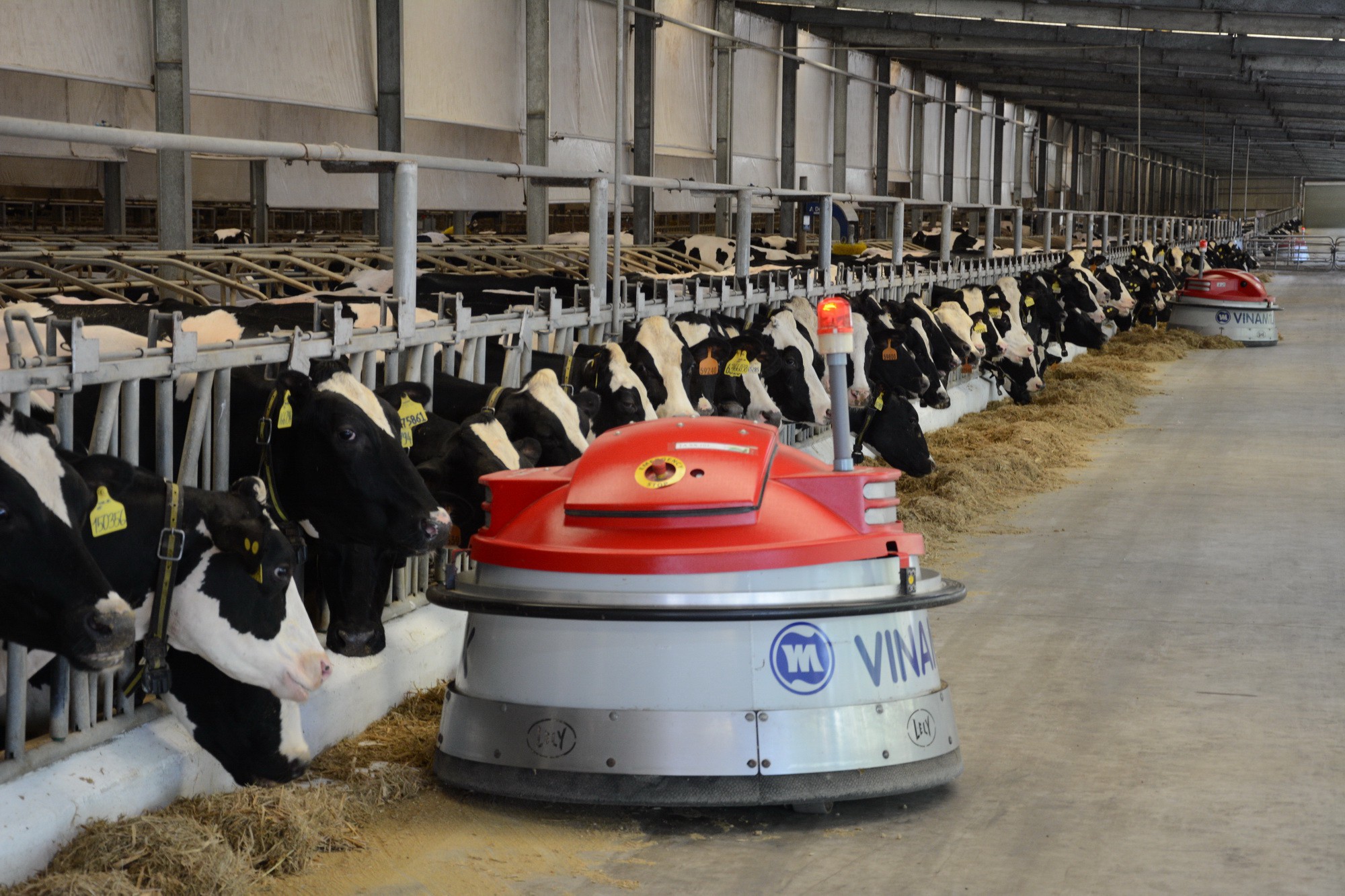 Vinamilk vận hành trang trại bò sữa độc lập lớn nhất Việt Nam - Ảnh 2.