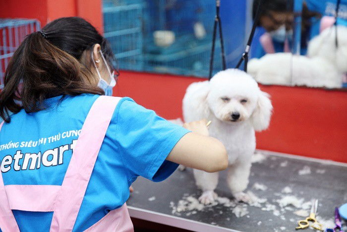 Cửa hàng thú cưng Pet Mart khai trương nhiều chi nhánh tại TP.HCM - Ảnh 4.