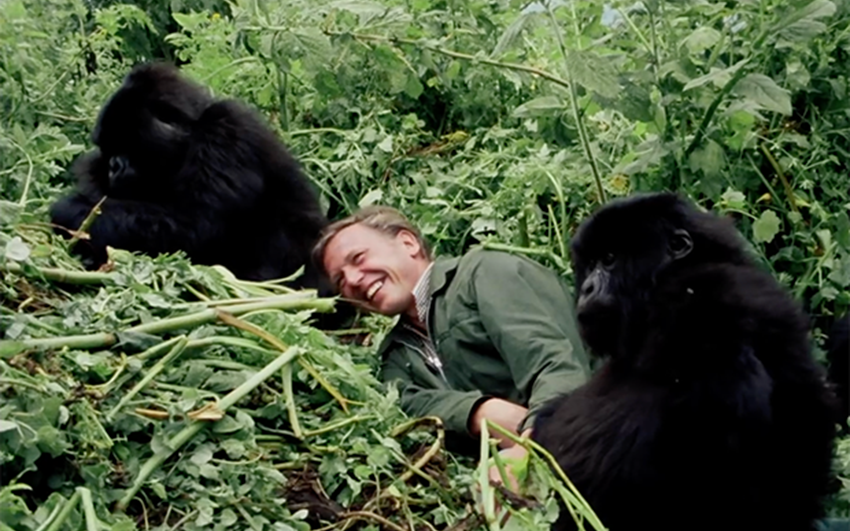 David Attenborough: A Life on Our Planet - Chăm lo cho thiên nhiên trước khi quá muộn