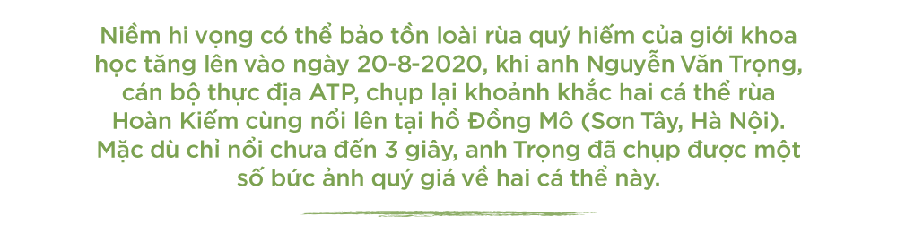 Kỳ 1: 13 năm theo dấu loài rùa Hoàn Kiếm - Ảnh 3.