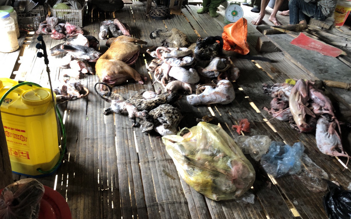 Trữ đông 2 con hổ, 6 con tê tê, bị tạm giam 4 tháng- Ảnh 2. Bắt người đàn ông mua bán, tàng trữ động vật hoang dã số lượng lớn