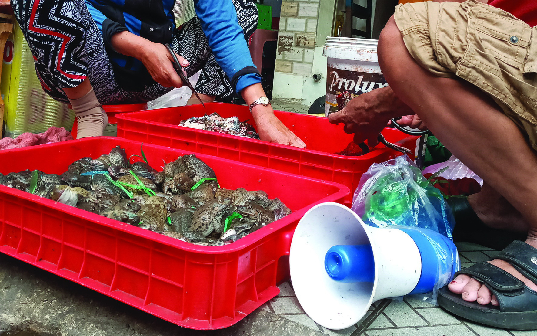 Đinh tai nhức óc với lời rao bán hàng thu sẵn từ các loa