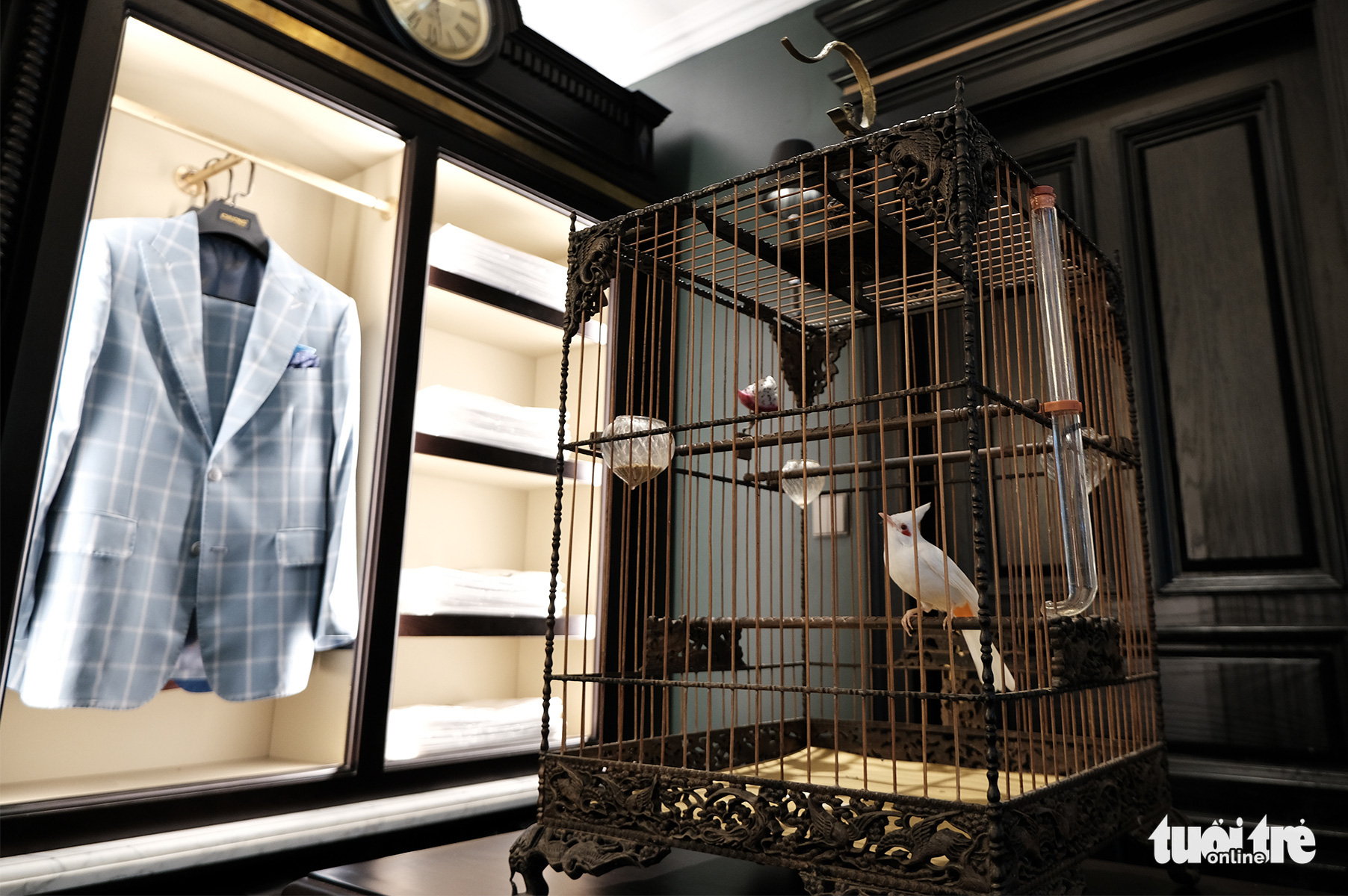 Chiêm ngưỡng chào mào bạch vương độc nhất vô nhị, giá nửa tỉ không bán - Ảnh 8. Chiêm ngưỡng chào mào bạch vương độc nhất vô nhị, giá nửa tỉ không bán - Ảnh 8.