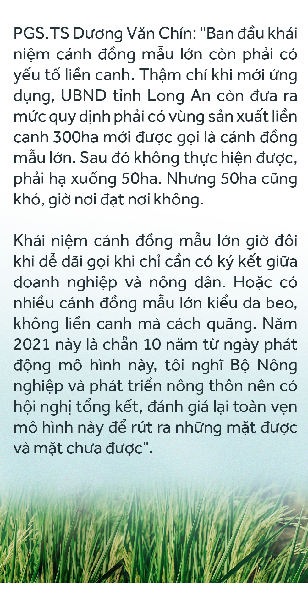 Đồng bằng sông Cửu Long: 35 năm thay da đổi thịt - Ảnh 43.