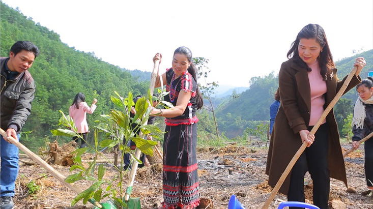 Dự án ‘Xanh An Bình - Xanh Việt Nam’ của ABBANK - Ảnh 3. Dự án ‘Xanh An Bình - Xanh Việt Nam’ của ABBANK - Ảnh 3.