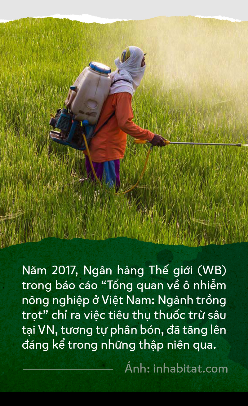 (Kì 1) Quá nhiều hóa chất trong nông nghiệp - Ảnh 2.