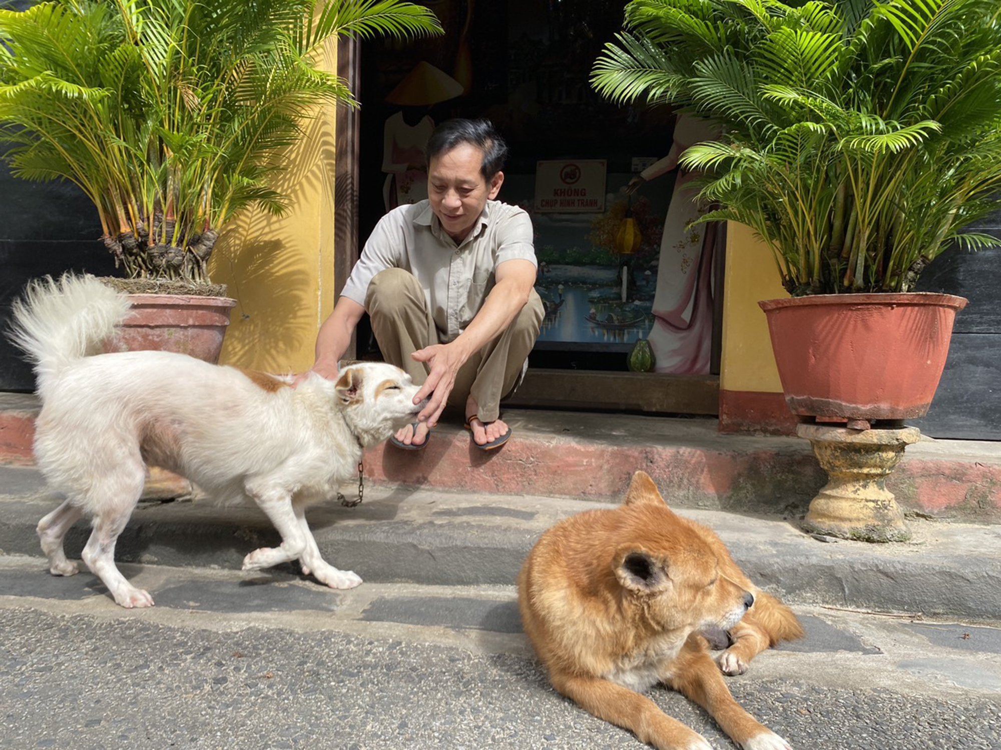 Nên nhân rộng việc nói không với thịt chó, mèo - Ảnh 1. Nên nhân rộng việc nói không với thịt chó, mèo - Ảnh 1.