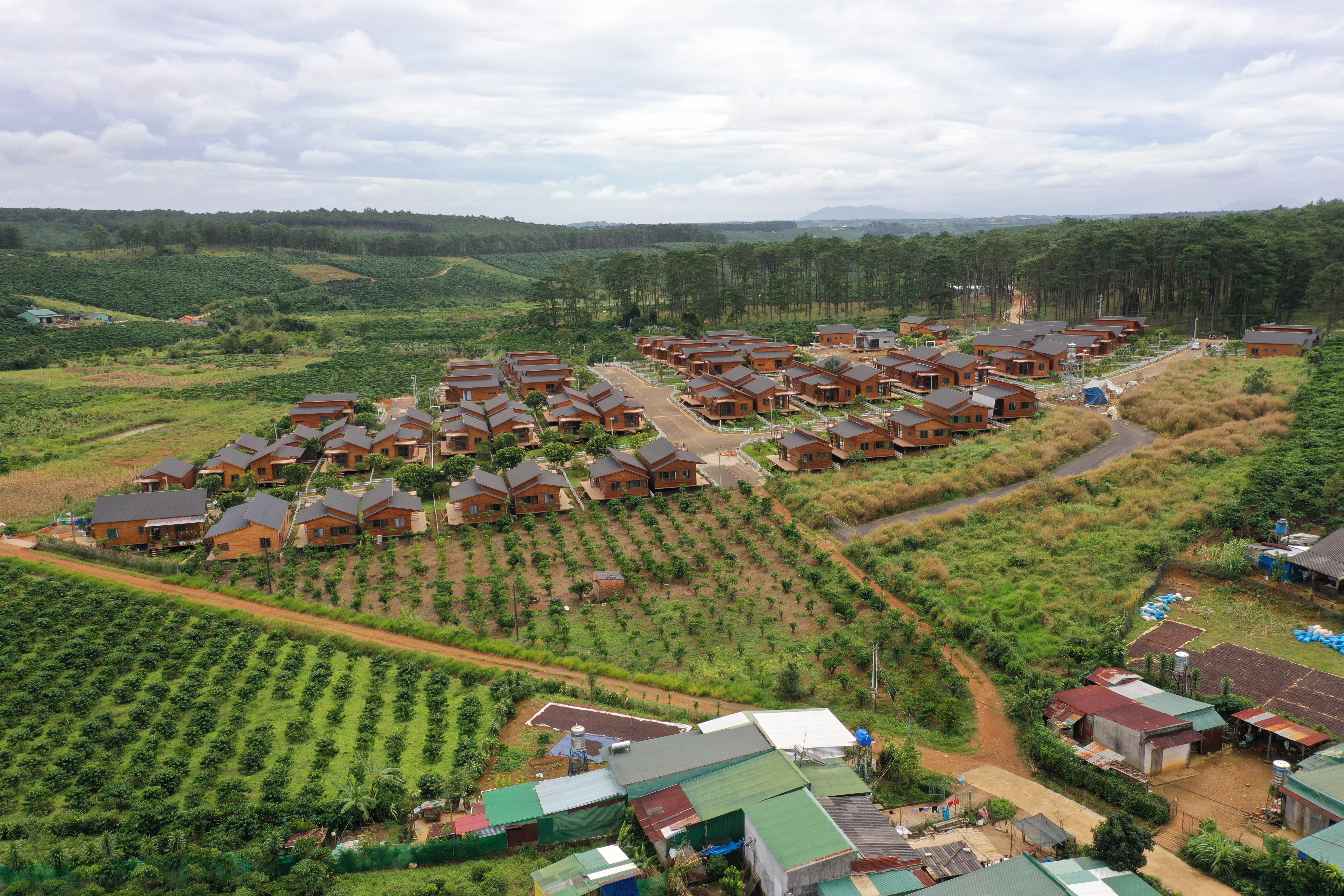Lâm Đồng: TP Bảo Lộc và huyện Bảo Lâm báo cáo gấp tình hình phân lô tách thửa 4 năm nay