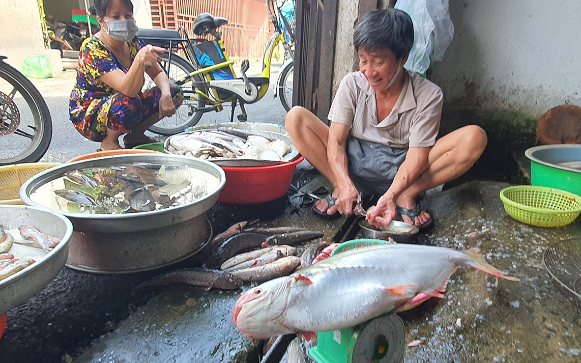 Săn