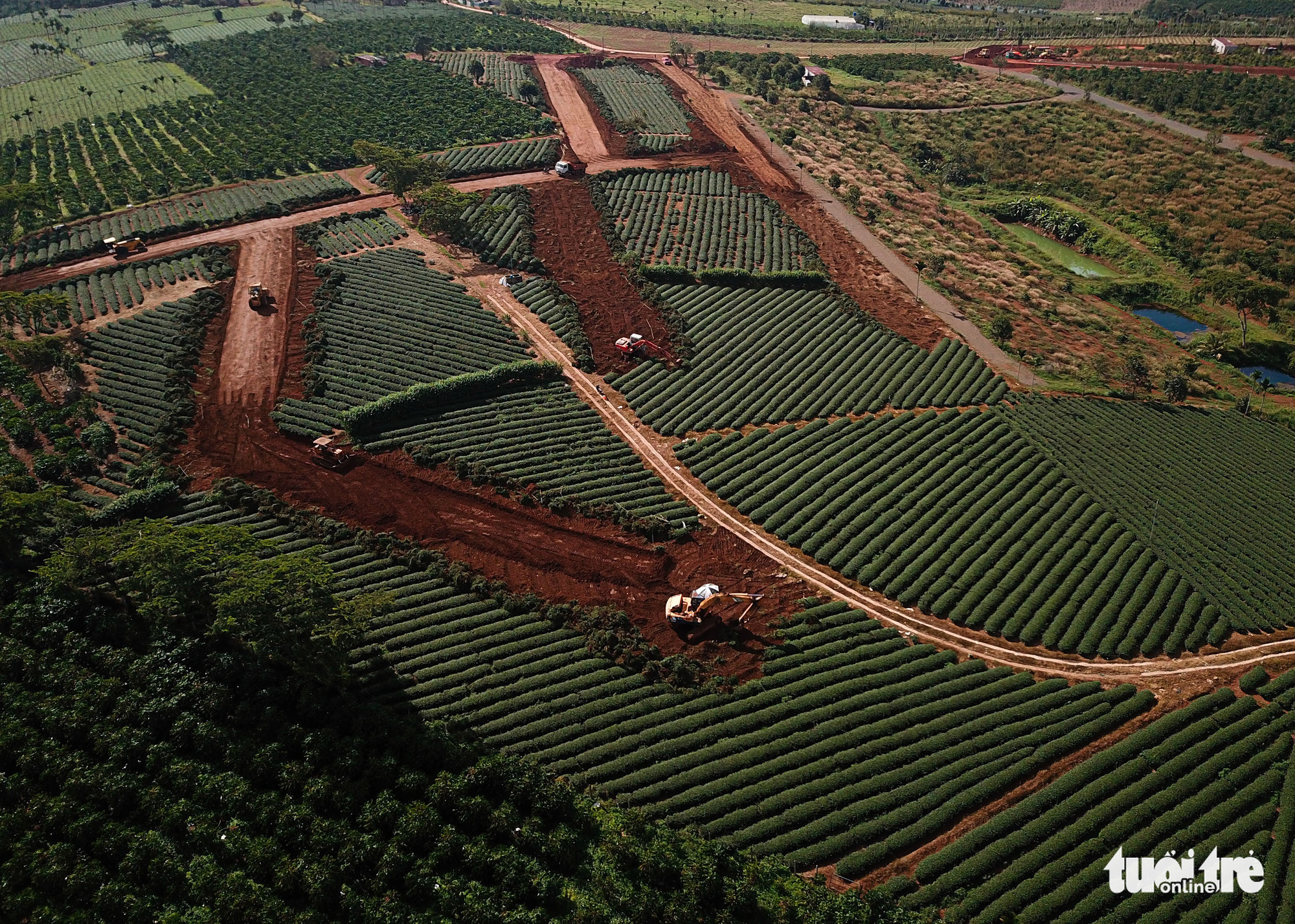 Thanh tra hoạt động phân lô bán nền ở Lâm Đồng, Khánh Hòa, Bình Thuận - Ảnh 1. Thanh tra hoạt động phân lô bán nền ở Lâm Đồng, Khánh Hòa, Bình Thuận - Ảnh 1.