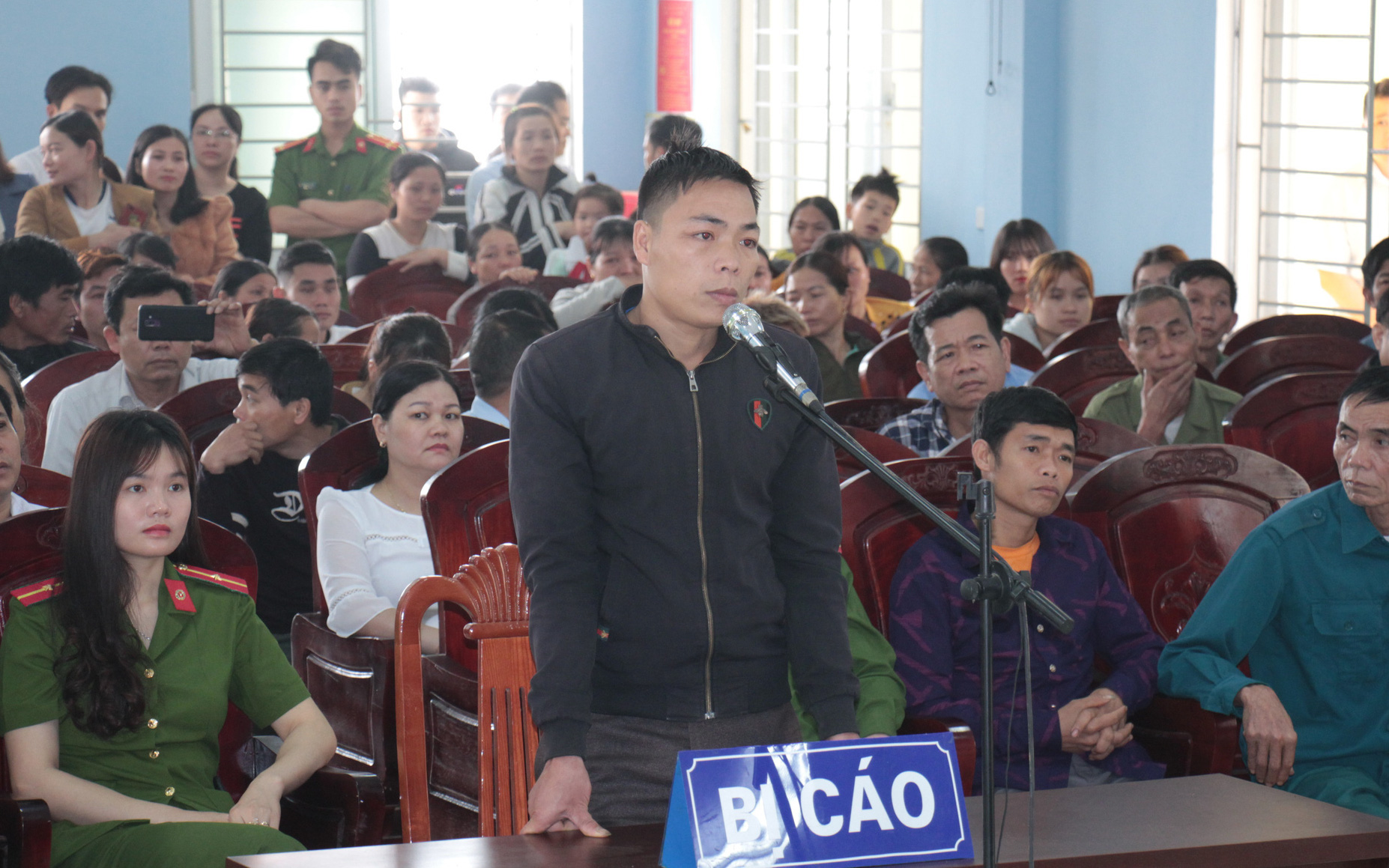 Cưa 1 cây gỗ rừng về làm nhà, 5 người bị bắt- Ảnh 3. Cưa hạ cây gỗ cao 17m, nam thanh niên lãnh 12 tháng cải tạo không giam giữ
