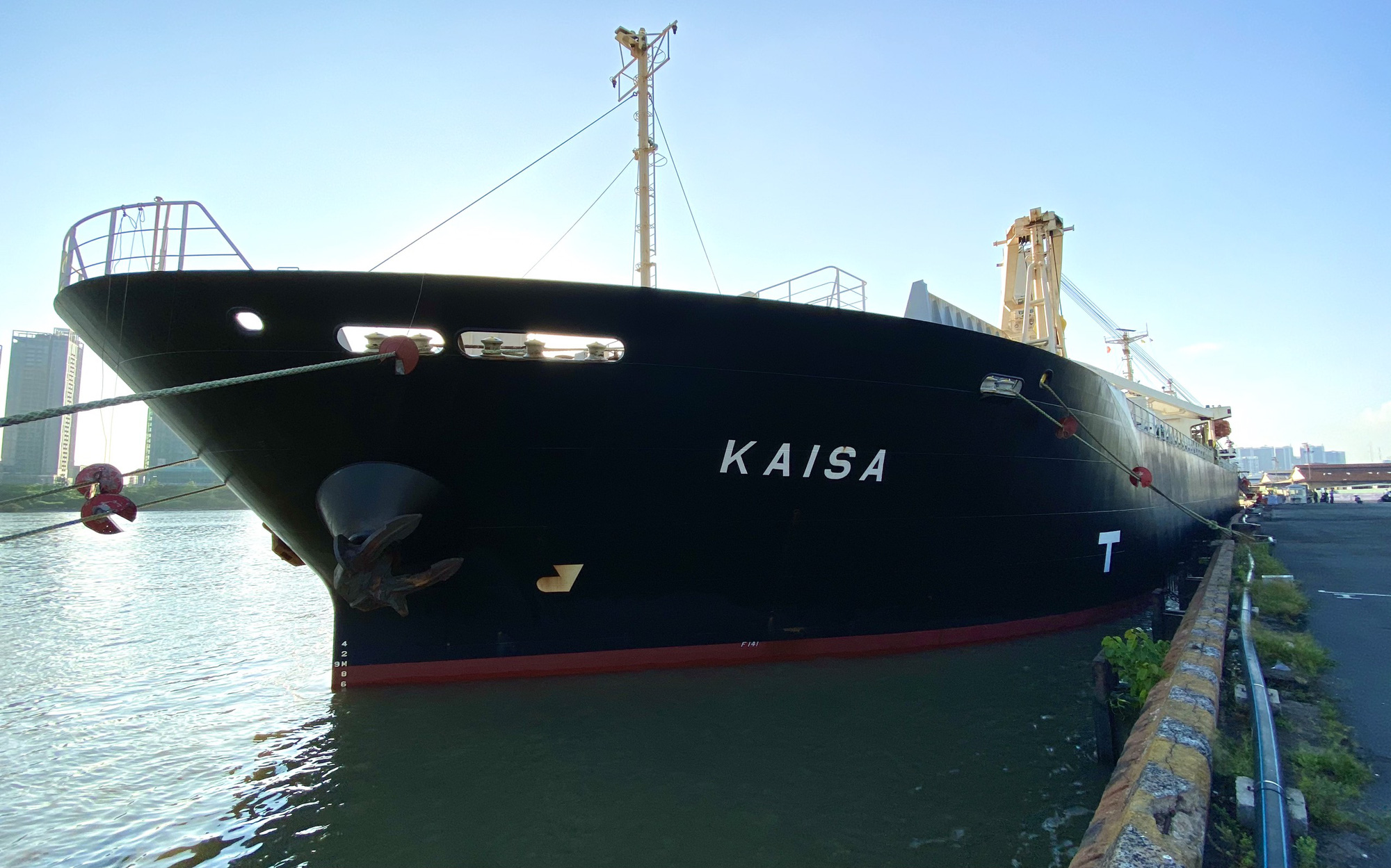 Hai đoàn tàu metro số 1 đã cập cảng Khánh Hội - Ảnh 1. Hai đoàn tàu metro số 1 đã cập cảng Khánh Hội - Ảnh 1.