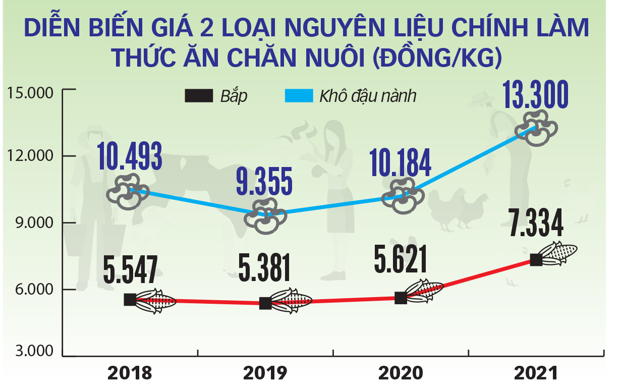 Người nuôi gia cầm lỗ nặng - Ảnh 2.