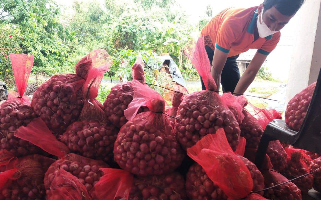 Đưa hành tím Sóc Trăng, vải thiều Thanh Hà lên sàn thương mại điện tử