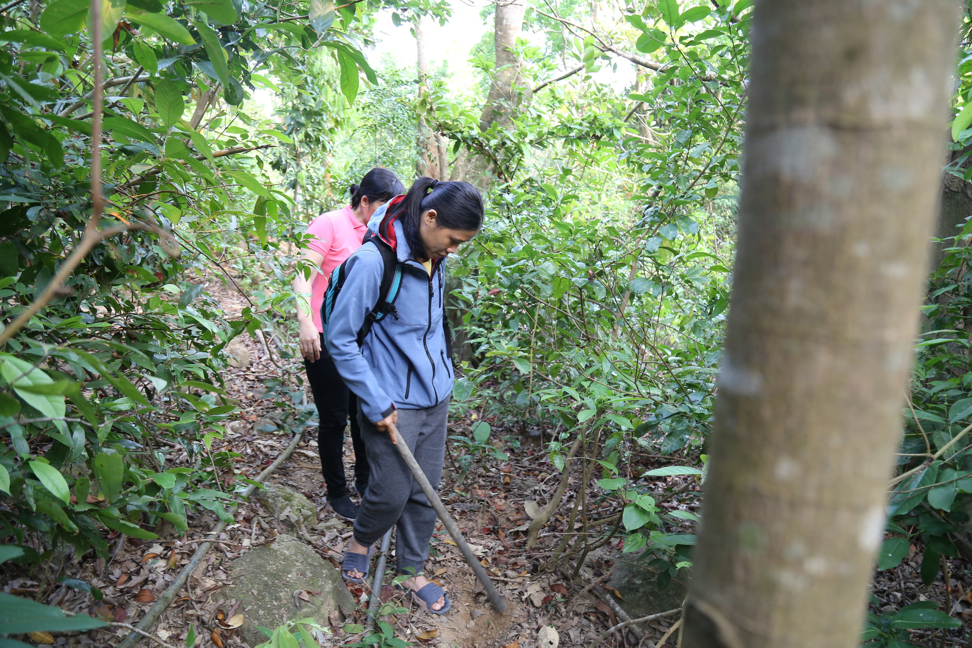 Hai trái tim với Sơn Trà - Ảnh 4.