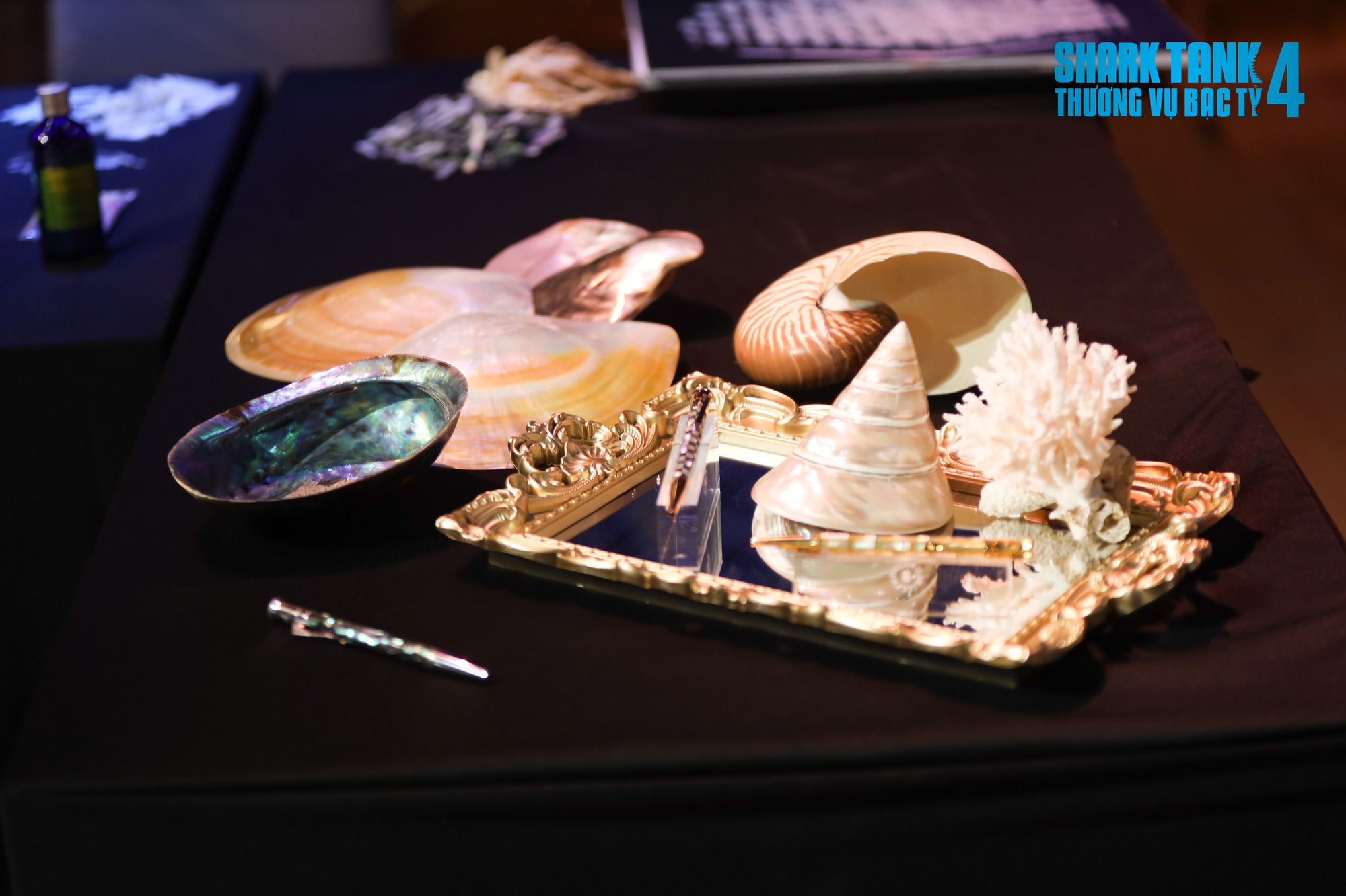 Startup Tôn Nữ Xuân Quyên: Không sợ người khác chỉ trích khi đến Shark Tank - Ảnh 4.