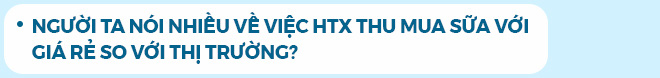 Tổng Giám đốc Evergrowth: ‘Làm nông nghiệp thuần tuý thì không giàu khủng được - Ảnh 8.