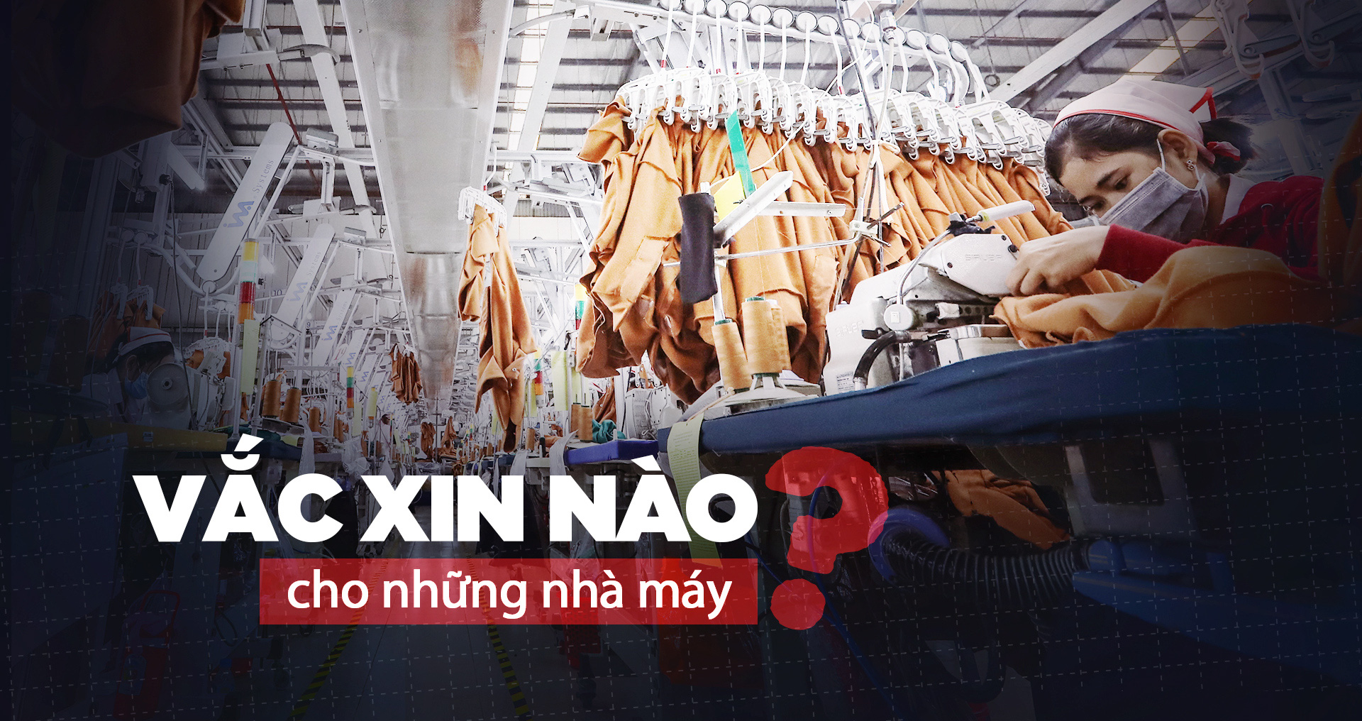 Vắc xin nào cho những nhà máy?