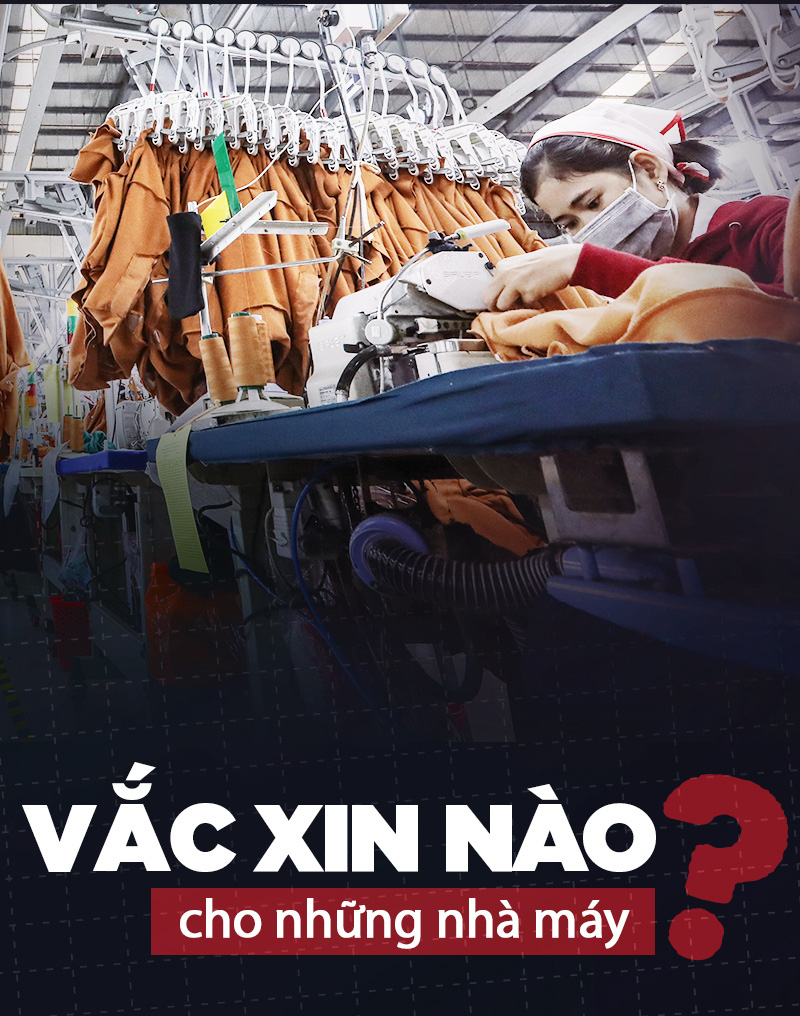 Vắc xin nào cho những nhà máy?