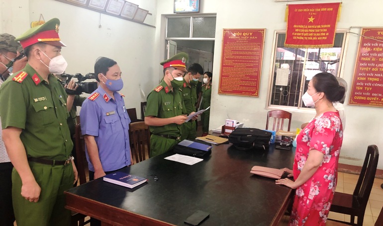 Bắt tạm giam nữ doanh nhân trúng đấu giá 262 lô đất Nam Tuy Hòa tội ‘trốn thuế’ - Ảnh 1.