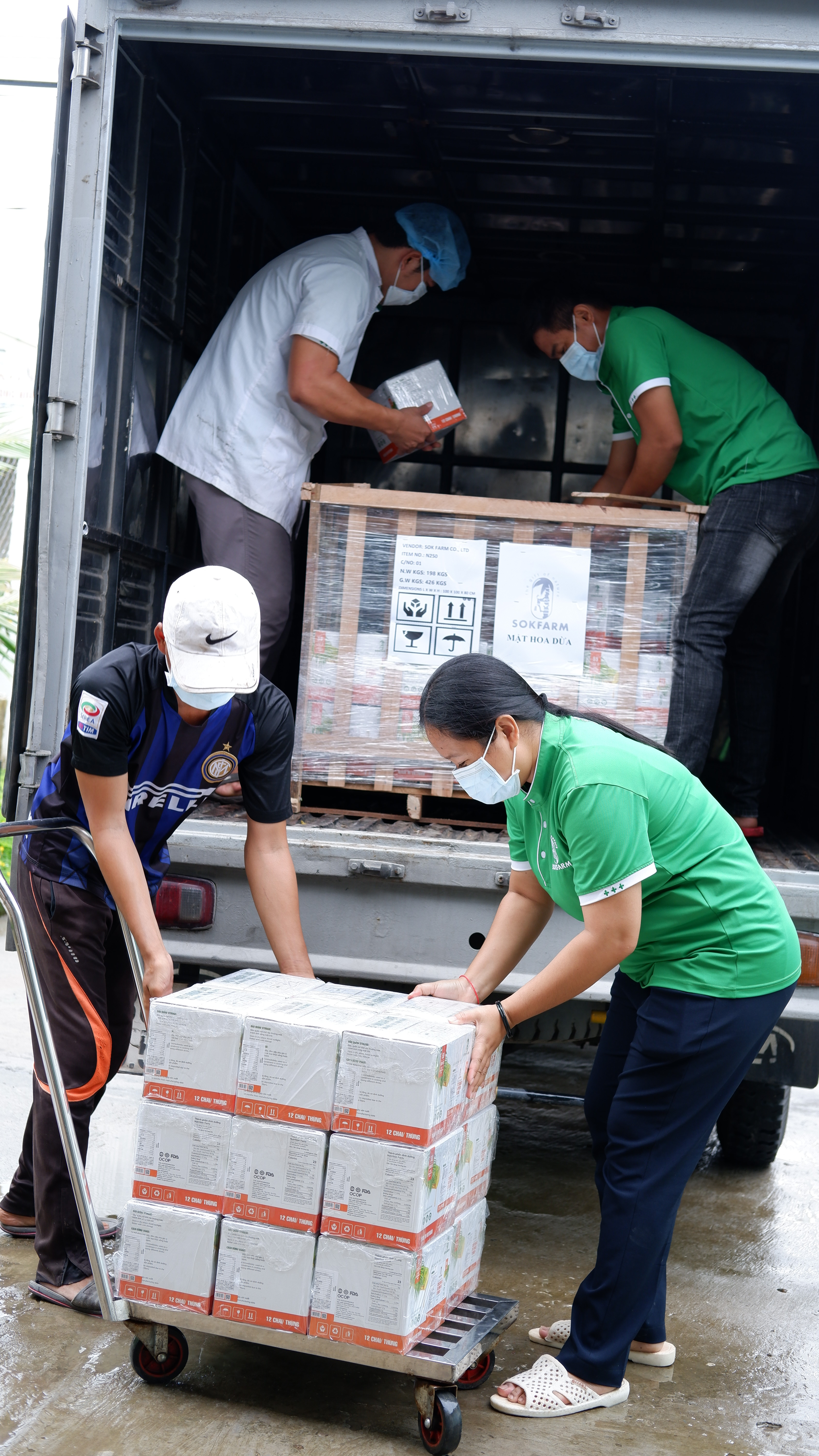 Chuyện mật hoa dừa đến Nhật - Ảnh 5. Chuyện mật hoa dừa đến Nhật - Ảnh 5.