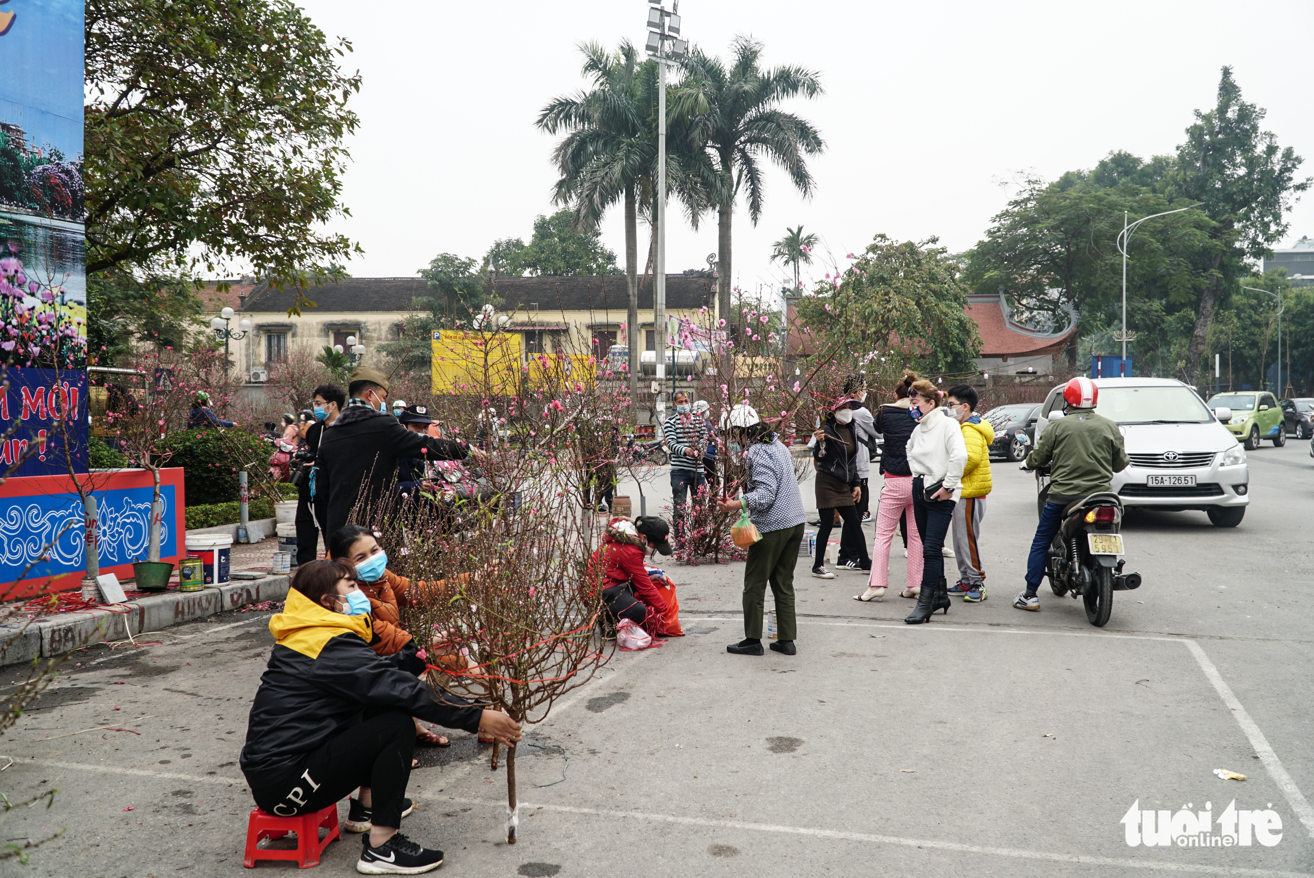 Đào hoa đã ngập phố Hà Nội, 10 người bán 1 người mua - Ảnh 5.