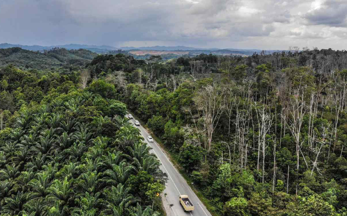 Tổng thống Indonesia: Thủ đô Nusantara đã hoàn thiện đến 80%- Ảnh 2. Indonesia thông qua luật dời đô, đặt tên thủ đô mới là Nusantara