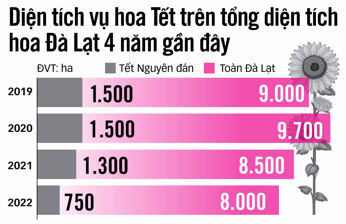 Nóng mùa hoa Tết - Ảnh 3.
