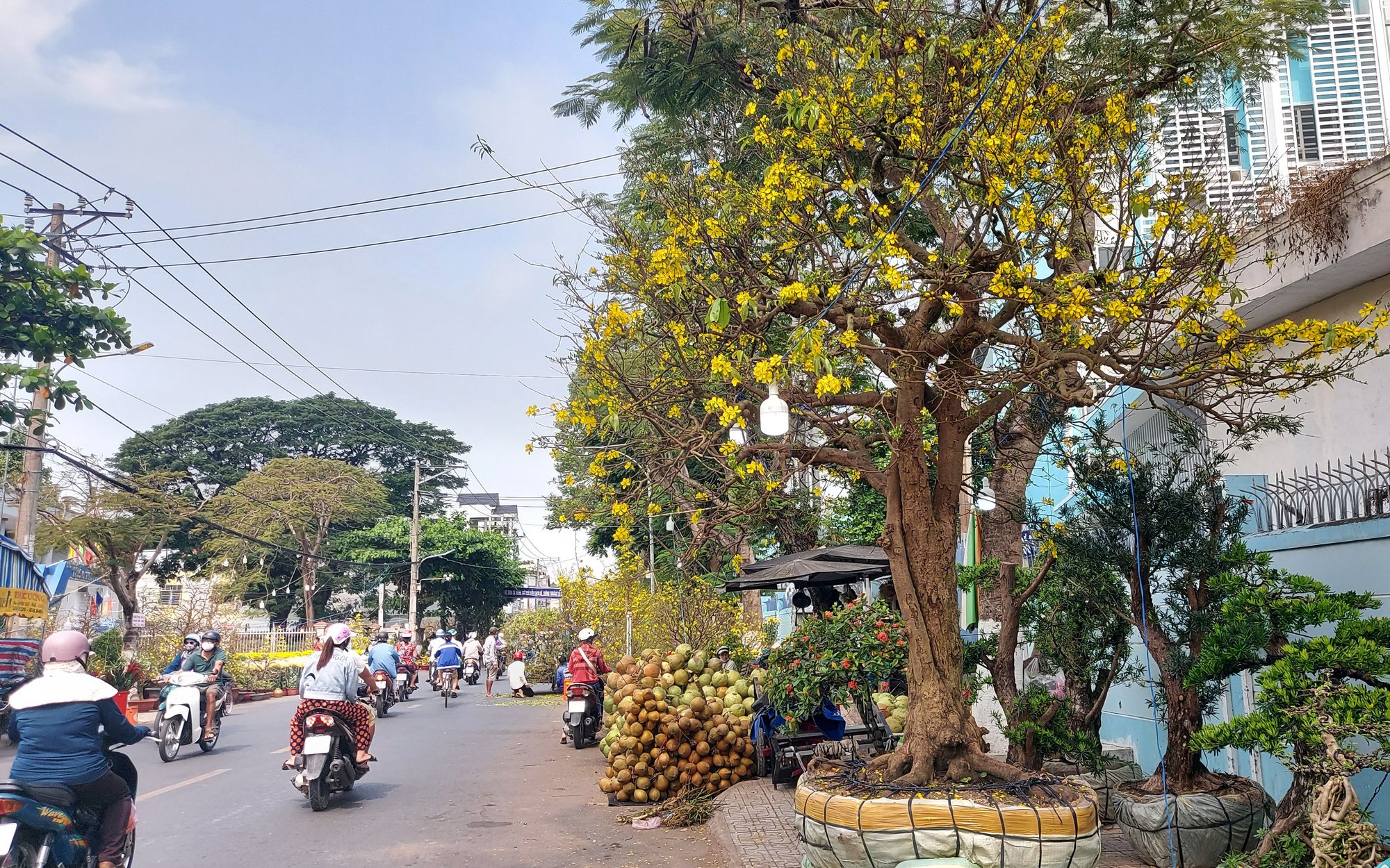 Phố 'Ông Đồ' điểm du xuân lý tưởng, tái hiện Tết xưa ở miền Tây- Ảnh 5. Làm 'phố Ông Đồ' để giúp dân du xuân, vui Tết xưa