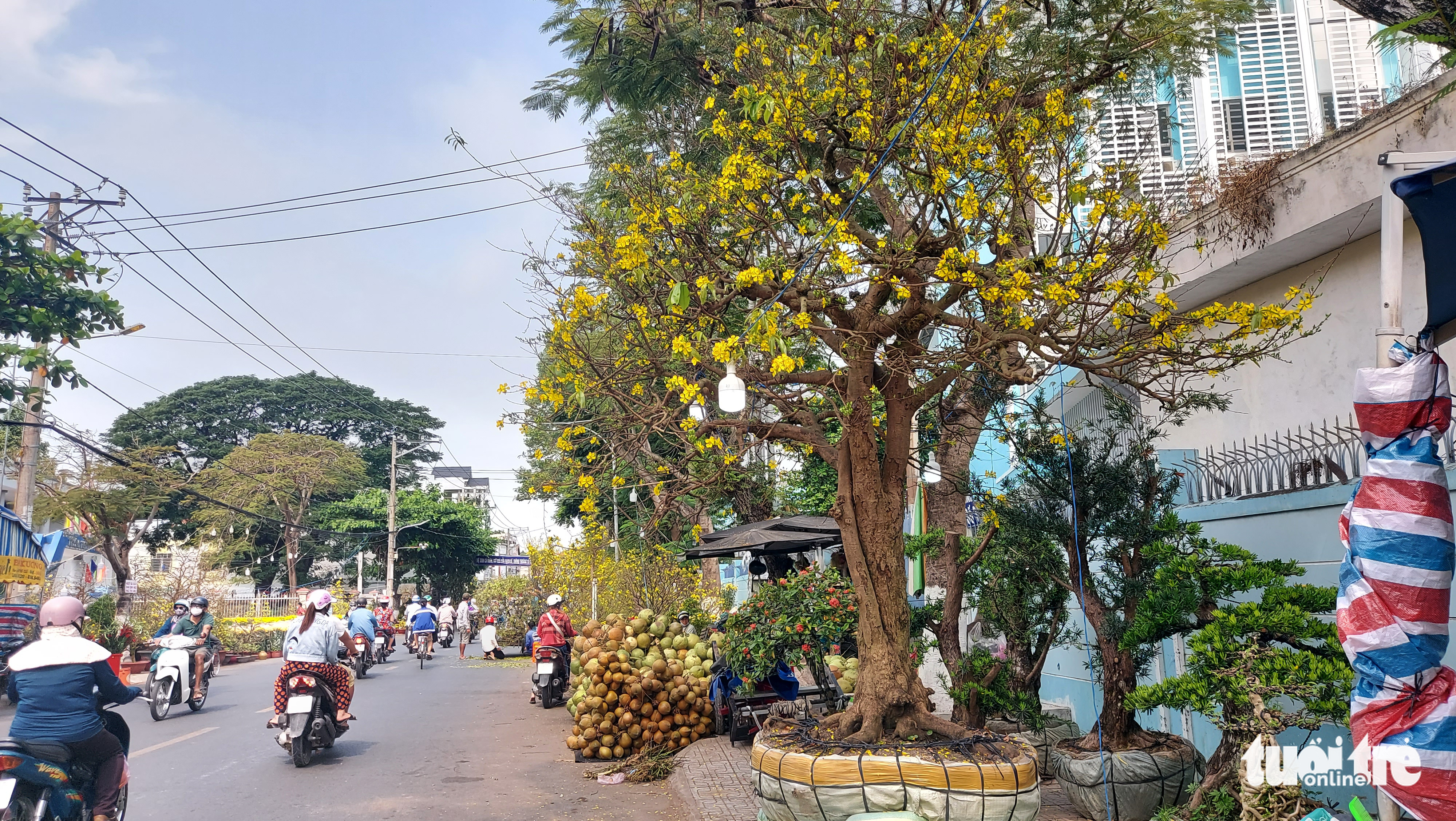 Làm ‘phố Ông Đồ’ để giúp dân du xuân, vui Tết xưa - Ảnh 3. Làm ‘phố Ông Đồ’ để giúp dân du xuân, vui Tết xưa - Ảnh 3.