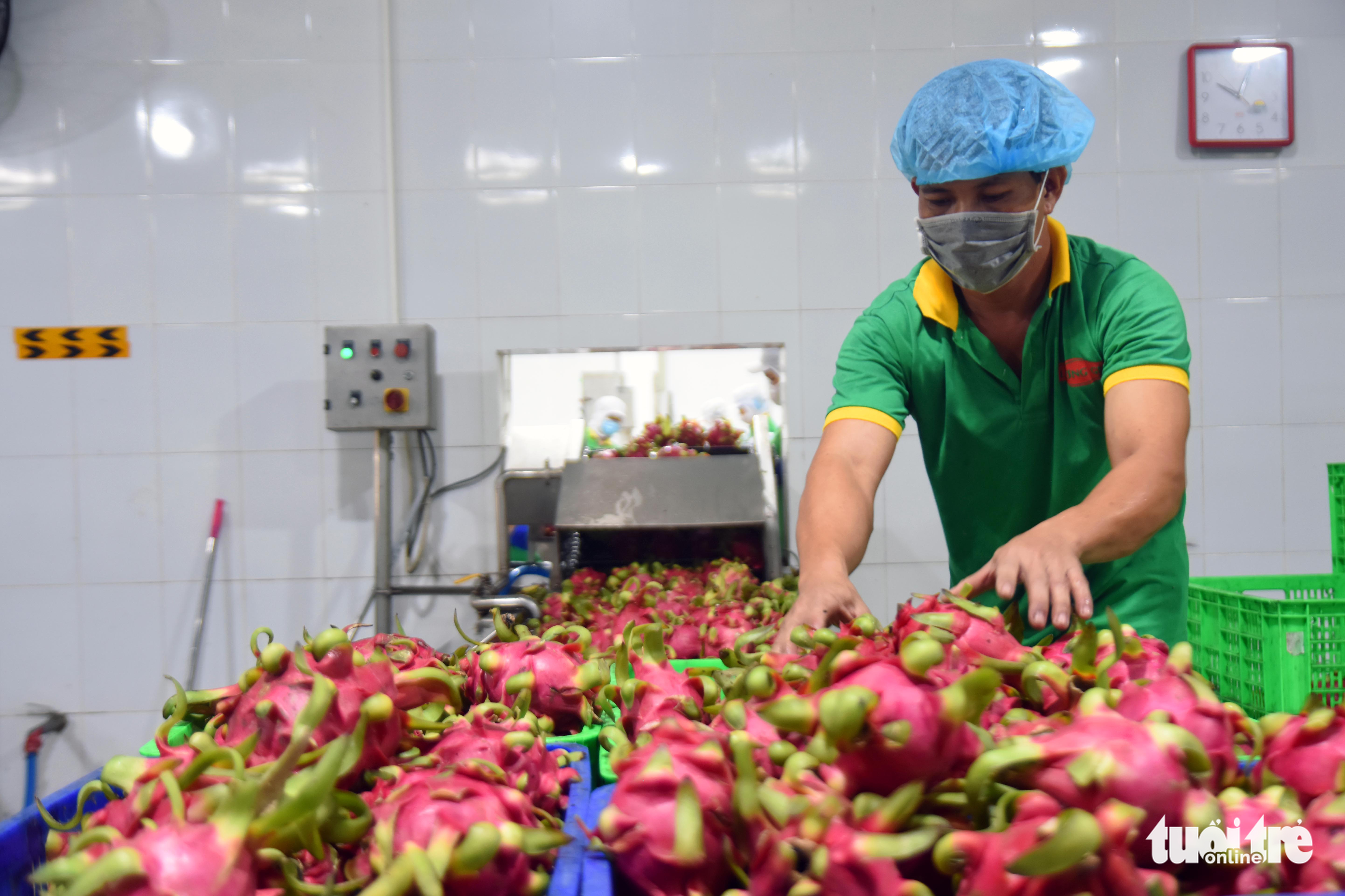 Đồng Nai xuất khẩu 95 tấn trái cây sấy dẻo sang các thị trường lớn - Ảnh 2.