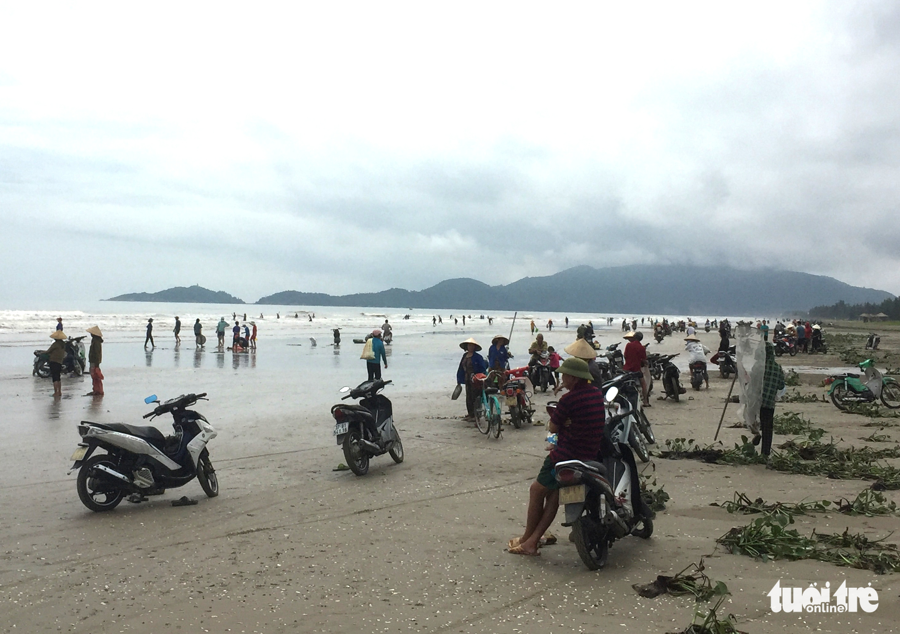 Hàng ngàn người hò nhau đi vớt ‘lộc biển’ sau mưa bão - Ảnh 1.