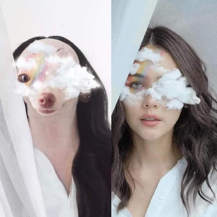 Cô chó cosplay loạt sao nổi tiếng - Tuổi Trẻ Online