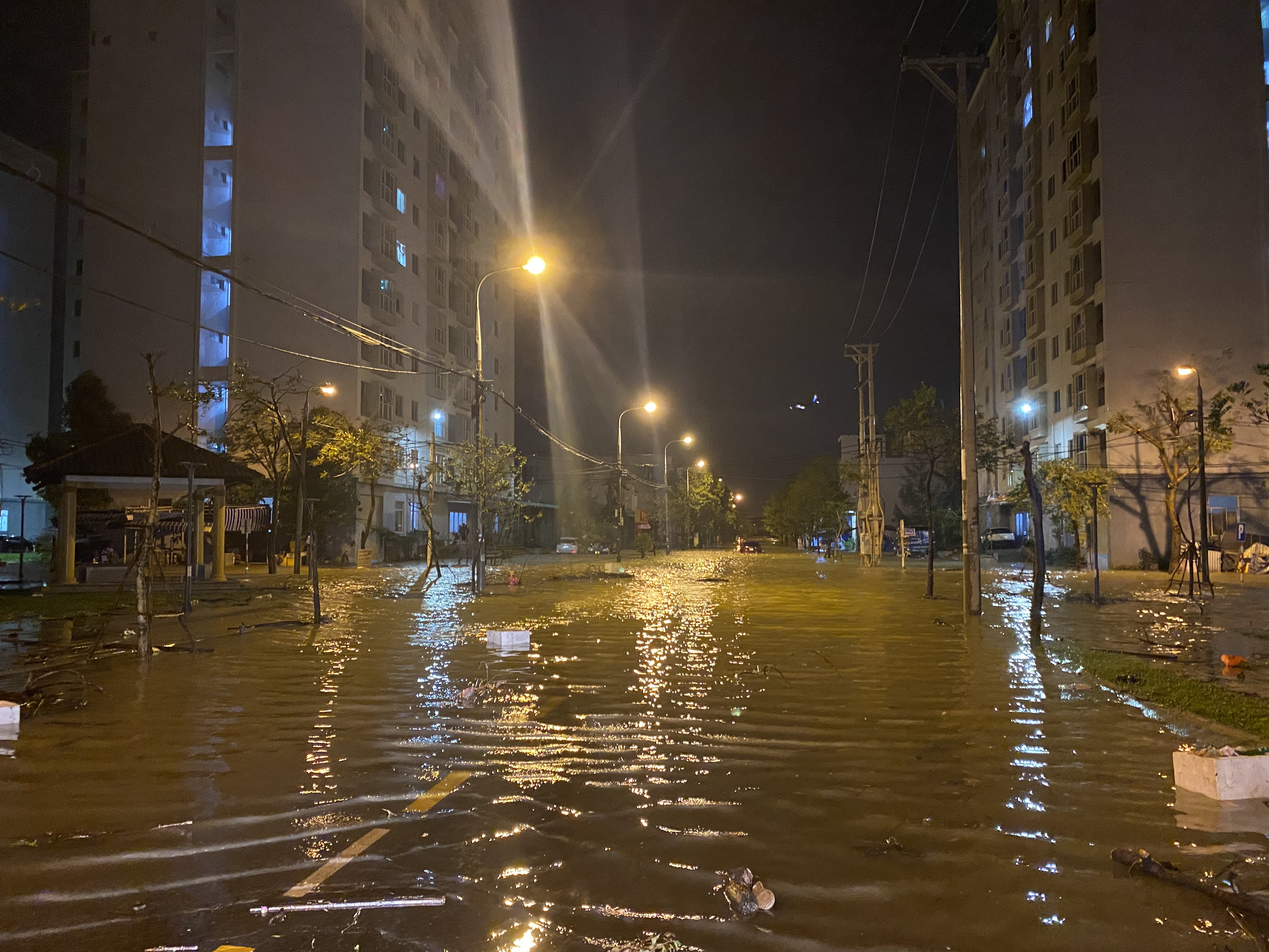 Một người đàn ông bám gốc cây ba tiếng cầu cứu trong đêm Đà Nẵng - Ảnh 2. Một người đàn ông bám gốc cây ba tiếng cầu cứu trong đêm Đà Nẵng - Ảnh 2.