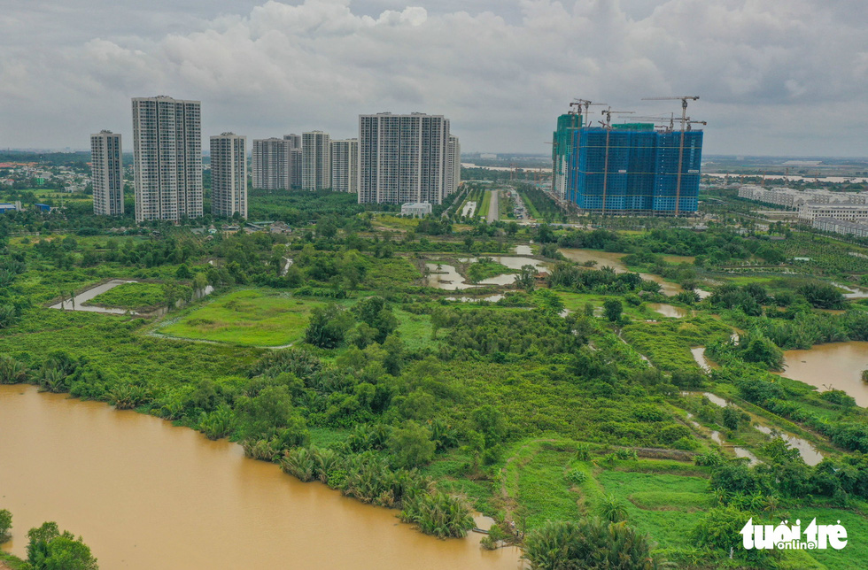 モーニングニュース 10月16日：不動産市場は需給ともに激減、なぜ？  - 写真 3。