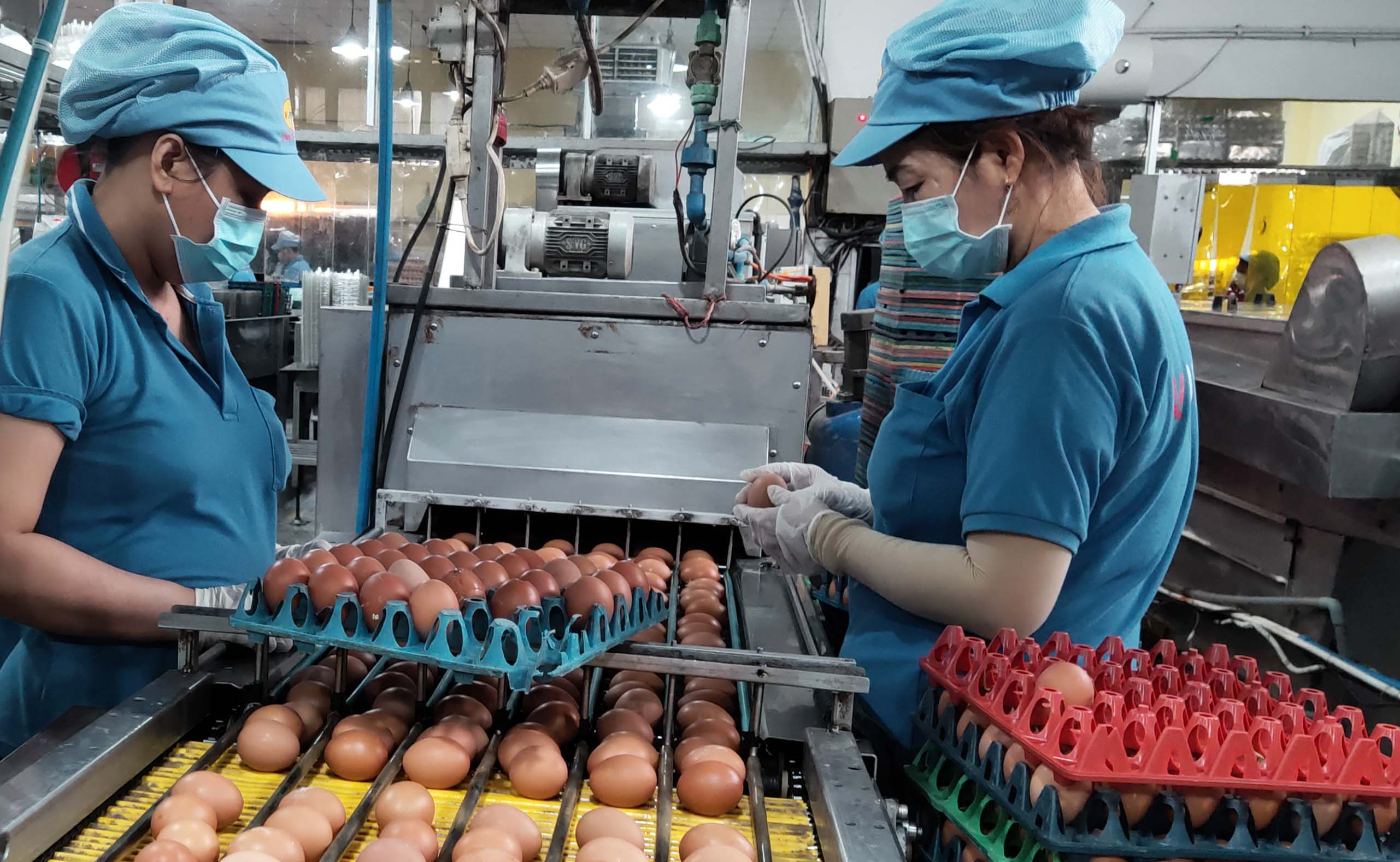 3 月 16 日の朝のニュース: 1 兆ドルの賭博事件の被告 62 人の裁判 – 写真 1。