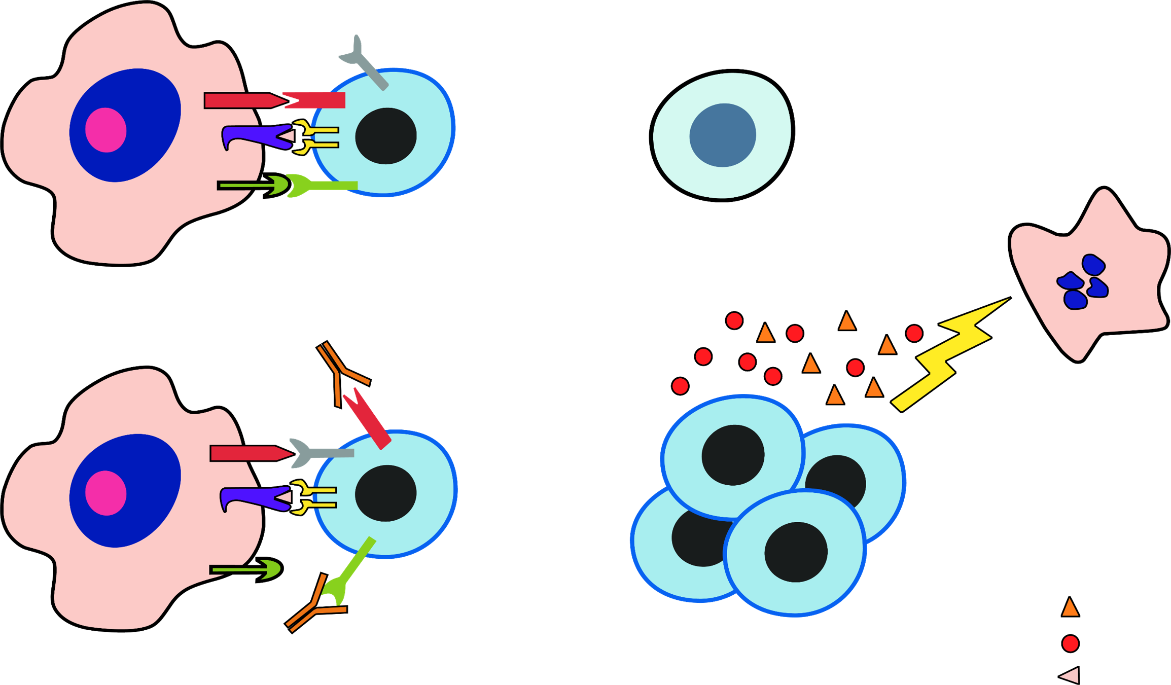 Liệu pháp điều trị miễn dịch trong ung thư đã triển khai tại Cần Thơ - Ảnh 1. Liệu pháp điều trị miễn dịch trong ung thư đã triển khai tại Cần Thơ - Ảnh 1.