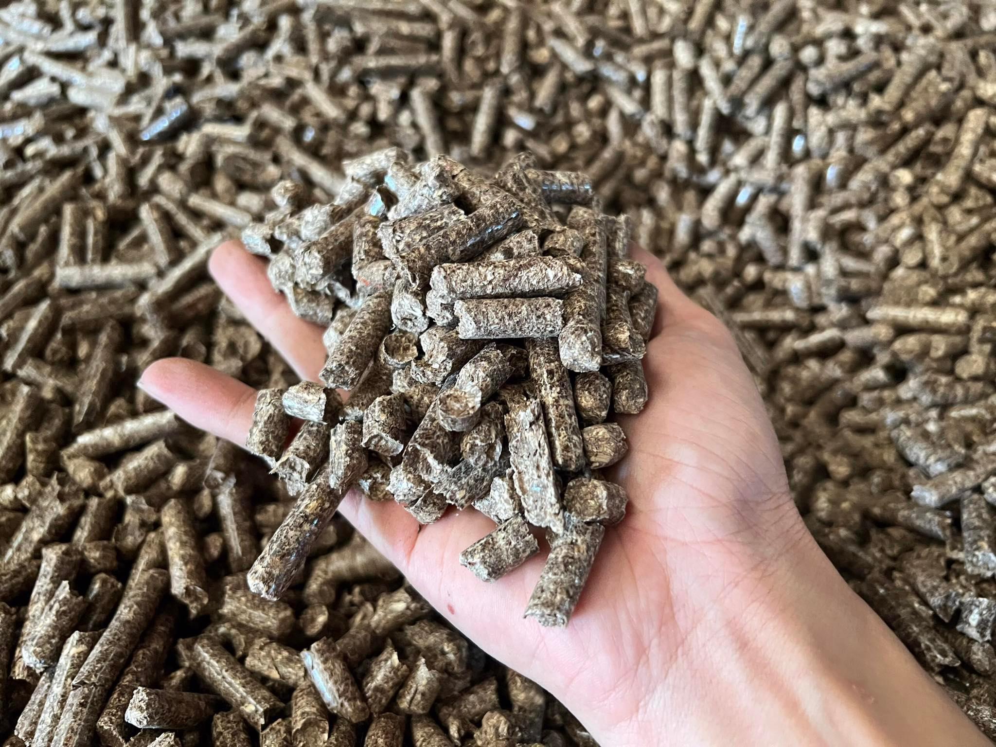 木質ペレットによる 10 億ドルの機会 - 写真 2.