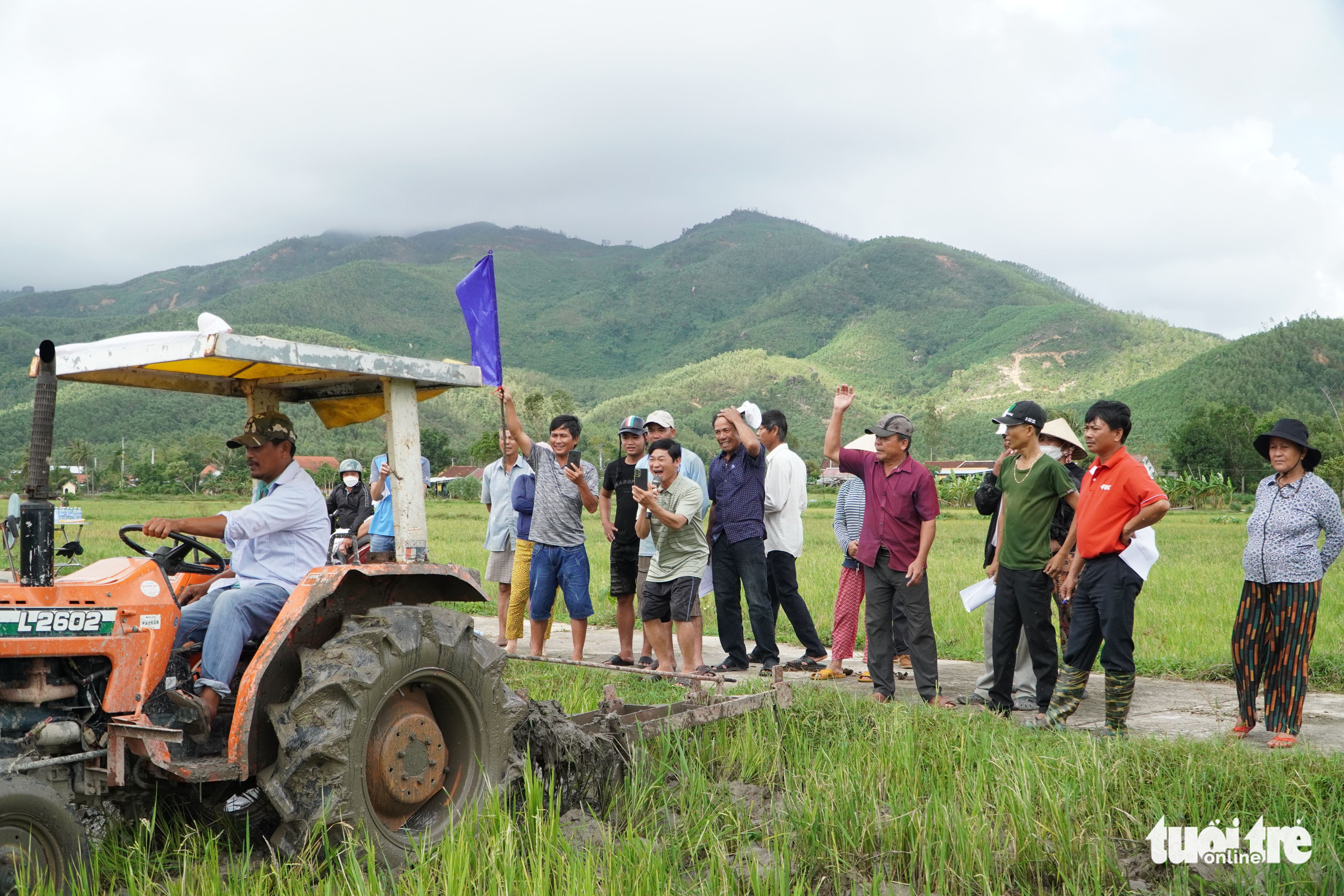 Thú vị xem nông dân xứ Quảng tranh tài cày ruộng - Ảnh 1.