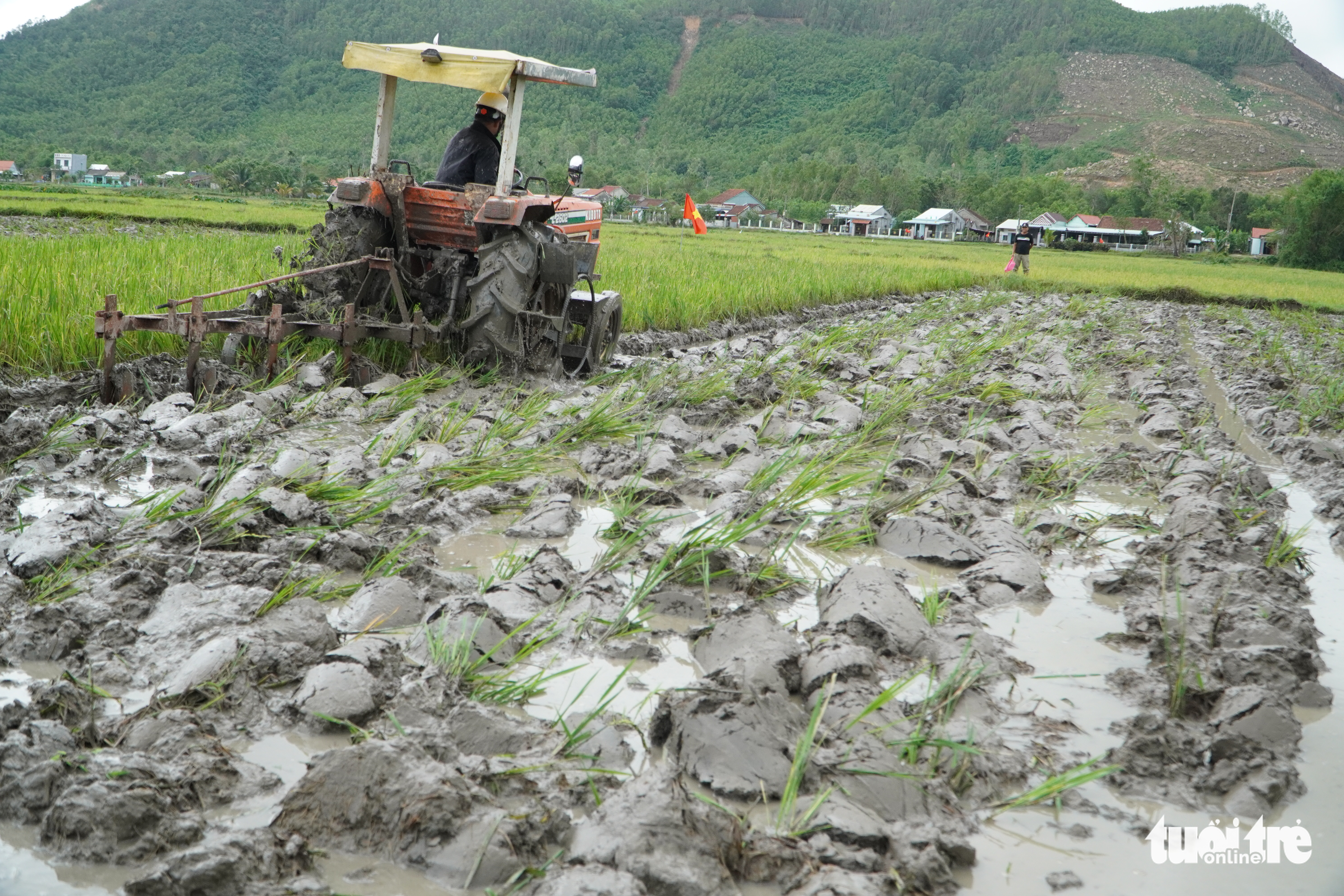 Thú vị xem nông dân xứ Quảng tranh tài cày ruộng - Ảnh 6.