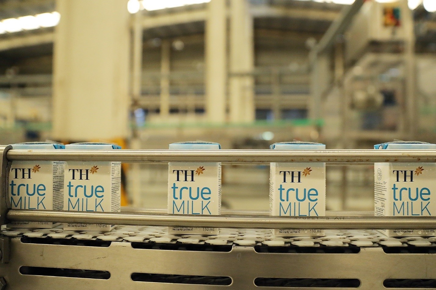 TH true MILK xúc tiến mở rộng thị trường sang Thái Lan - Ảnh 3. TH true MILK xúc tiến mở rộng thị trường sang Thái Lan - Ảnh 3.