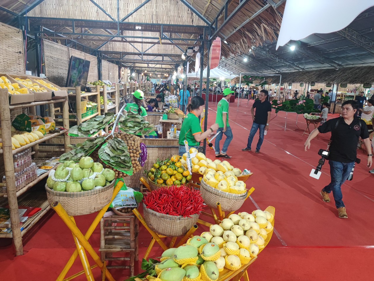 Tin sáng 19-11: Ô tô tăng giá do biến động tỉ giá; Thu hồi sáu lô thuốc Greaxim - Ảnh 5.