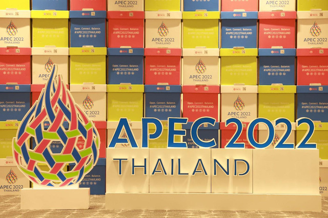 APEC 2022 quy tụ những sáng kiến độc đáo vì môi trường - Ảnh 1. APEC 2022 quy tụ những sáng kiến độc đáo vì môi trường - Ảnh 1.