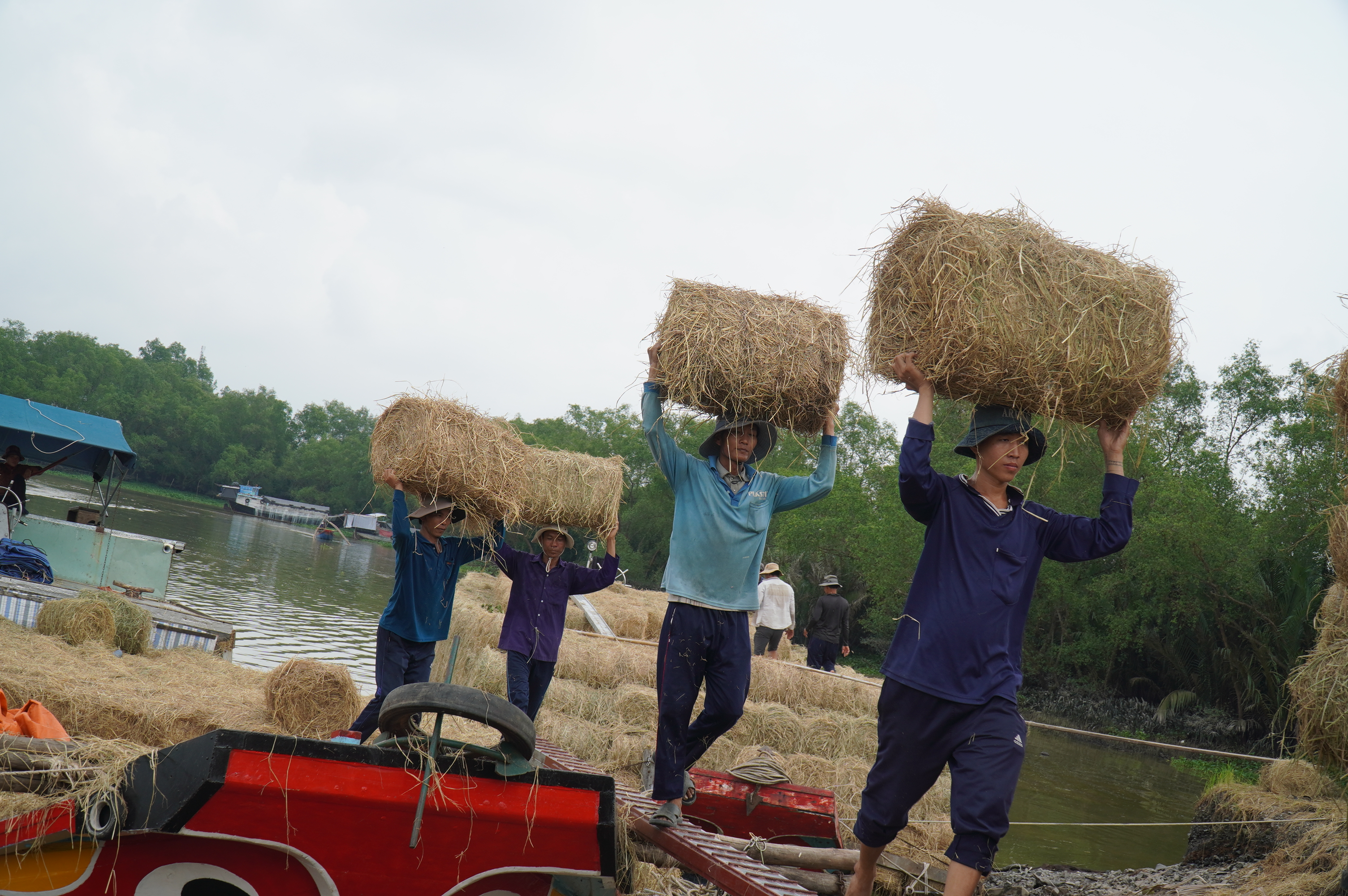 Chợ rơm miền Tây hút hàng vì mưa kéo dài - Ảnh 1.