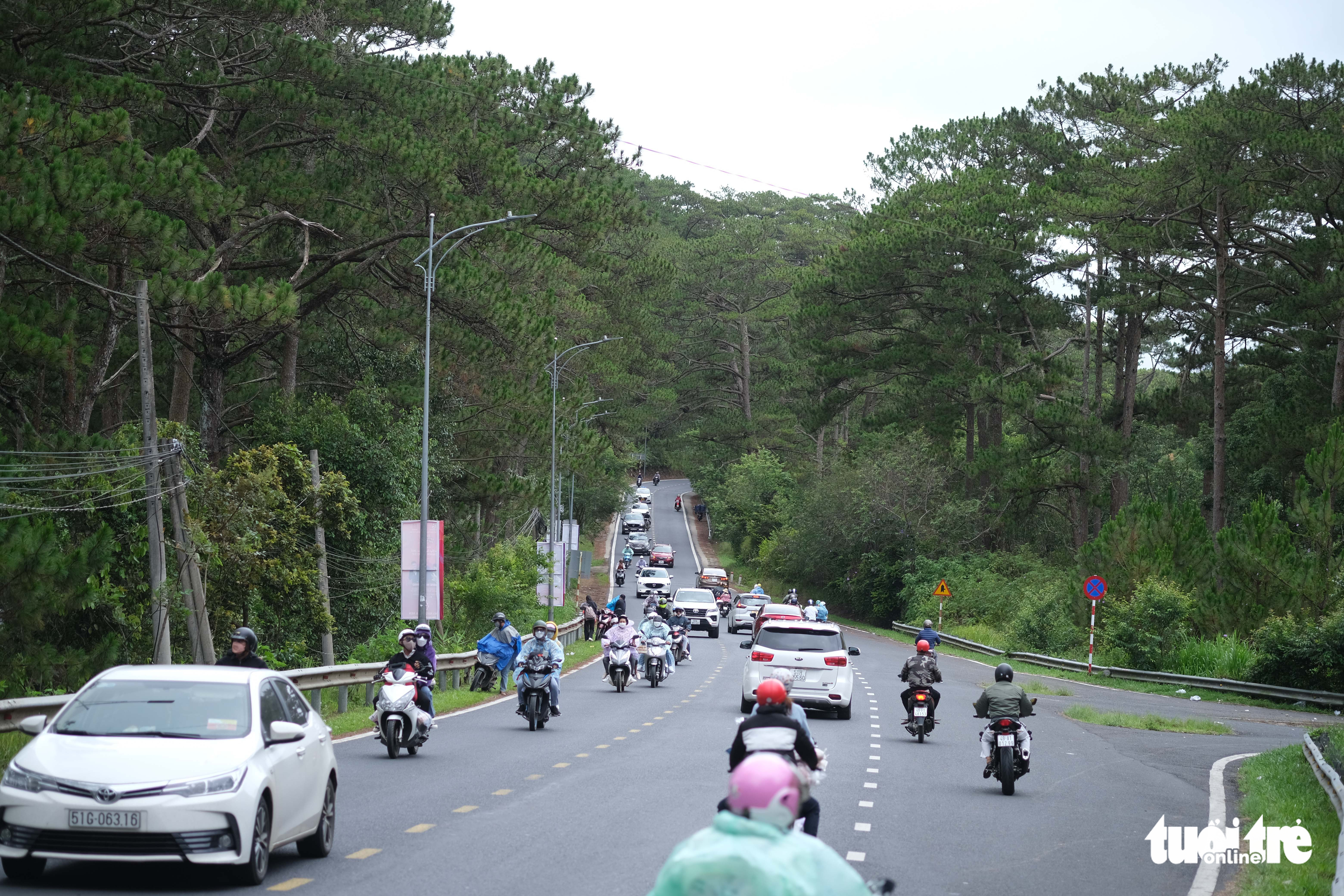 Trời mát, đường thông, du khách lai rai đến Đà Lạt - Ảnh 1. Trời mát, đường thông, du khách lai rai đến Đà Lạt - Ảnh 1.