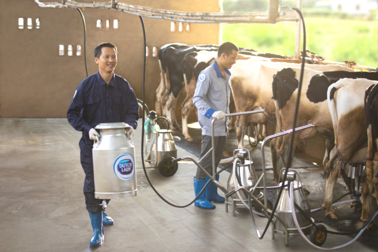 FrieslandCampina thành công bằng con đường phát triển bền vững - Ảnh 2. FrieslandCampina thành công bằng con đường phát triển bền vững - Ảnh 2.