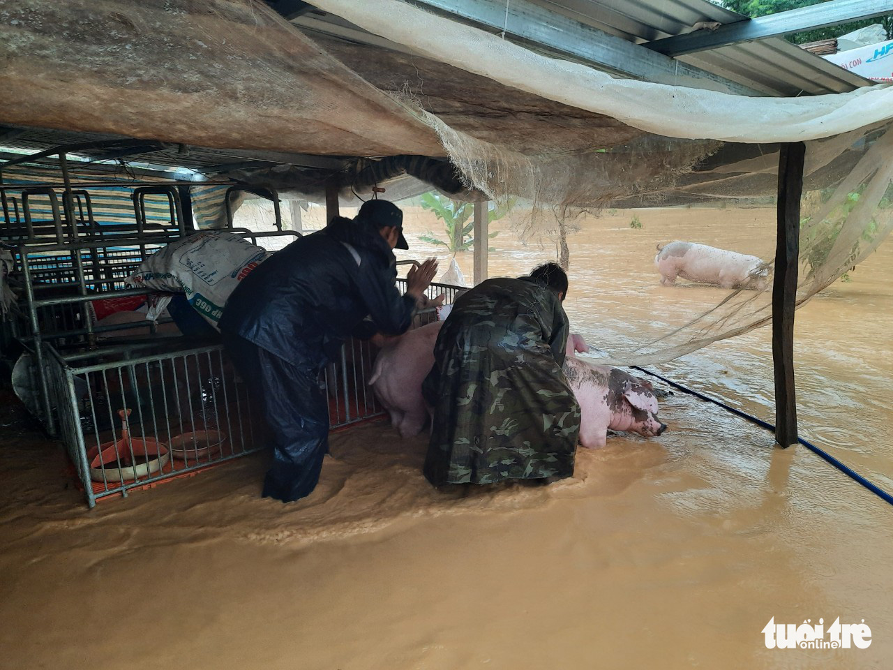 Phía nam Lâm Đồng ngập nặng chỉ sau một trận mưa - Ảnh 3.