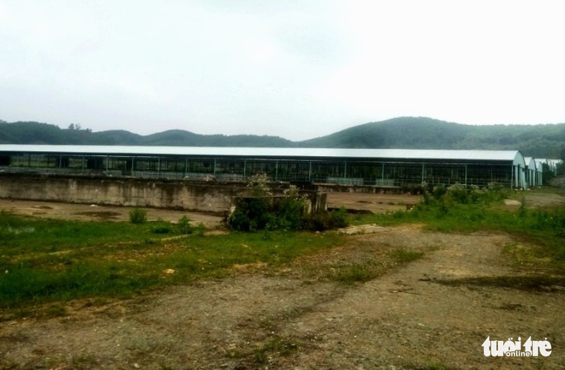 Dự án chăn nuôi bò Bình Hà nghìn tỉ, giờ tái cơ cấu ra sao? - Ảnh 1. Dự án chăn nuôi bò Bình Hà nghìn tỉ, giờ tái cơ cấu ra sao? - Ảnh 1.